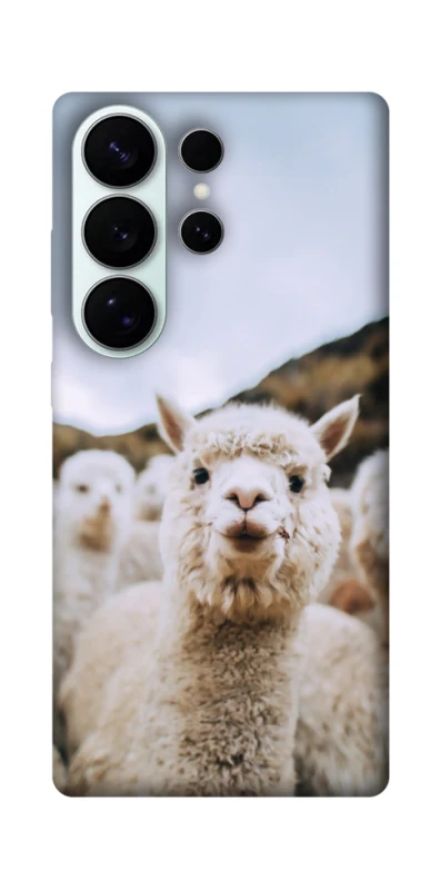 Чехол на Samsung Galaxy S26 Pro Лама фото 1 из 1