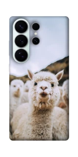 Чехол на Samsung Galaxy S26 Pro Лама фото 1 из 1