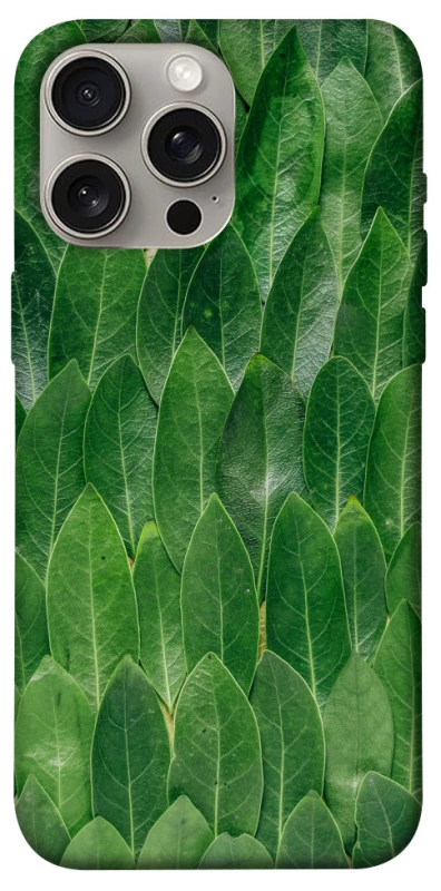 Чехол на Apple iPhone 15 Pro Max (6.7") Листья фото 1 из 1