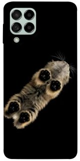 Чохол на Samsung Galaxy M53 5G Cat фото 1 з 1