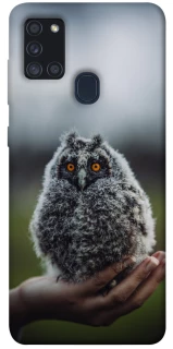 Чехол на Samsung Galaxy A21s Совёнок фото 1 из 1