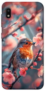 Чохол на Samsung Galaxy A10 (A105F) Birdie фото 1 з 1