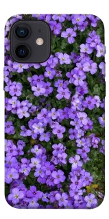 Чохол на Apple iPhone 12 mini (5.4") Flowers v17 фото 1 з 1