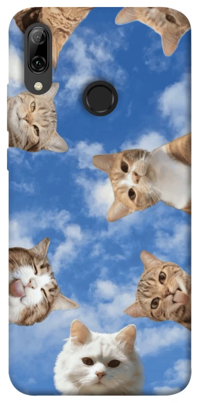 Чехол на Huawei P Smart (2019) Сats фото 1 из 1