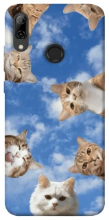 Чохол на Huawei P Smart (2019) Сats фото 1 з 1