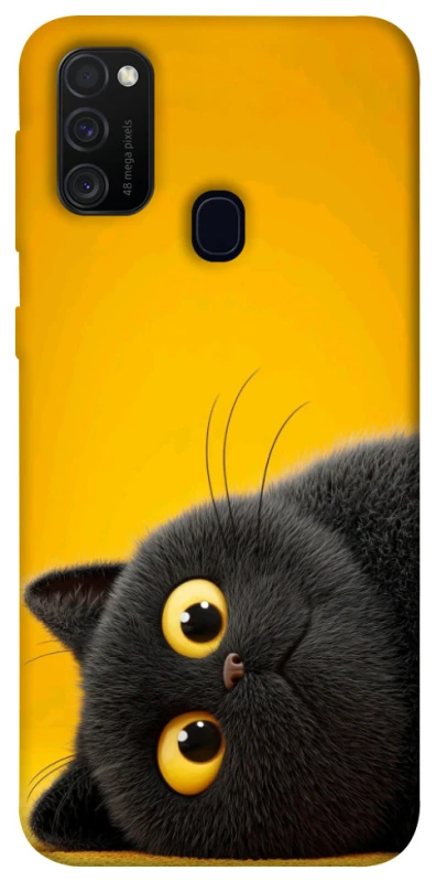 Чохол на Samsung Galaxy M30s / M21 This is Cat фото 1 з 1