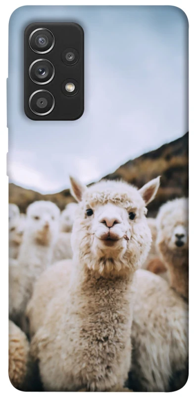 Чохол на Samsung Galaxy A52 4G / A52 5G Лама фото 1 з 1