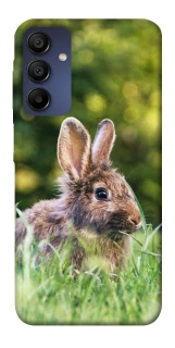 Чехол на Samsung Galaxy A15 4G/5G Кролики фото 1 из 1