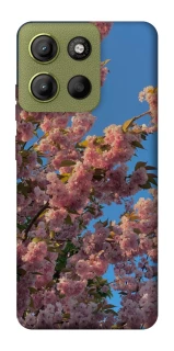 Чехол на Motorola Moto G15 4G Flowers v4 фото 1 из 1