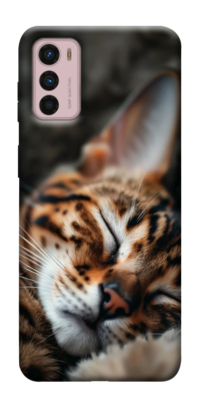 Чохол на Motorola Moto G42 Cat paws фото 1 з 1