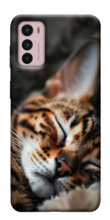 Чохол на Motorola Moto G42 Cat paws фото 1 з 1