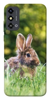 Чехол на ZTE Blade A53 Кролики фото 1 из 1