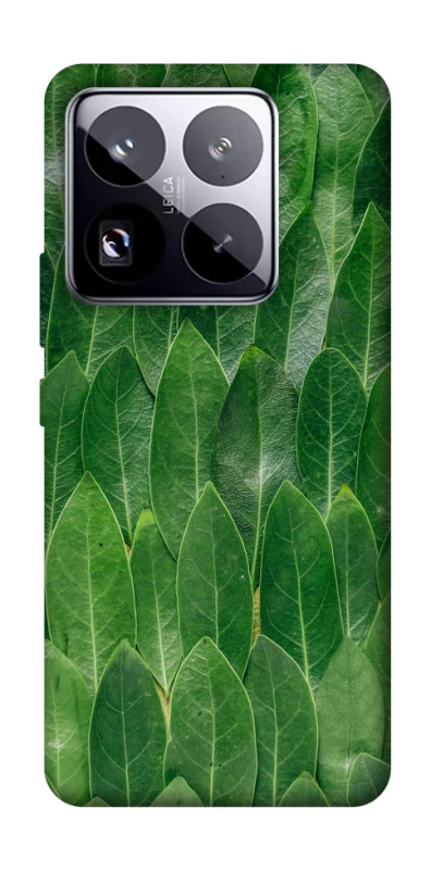 Чехол на Xiaomi 15 Pro Листья фото 1 из 1