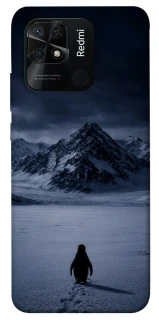 Чехол на Xiaomi Redmi 10C But why? фото 1 из 1