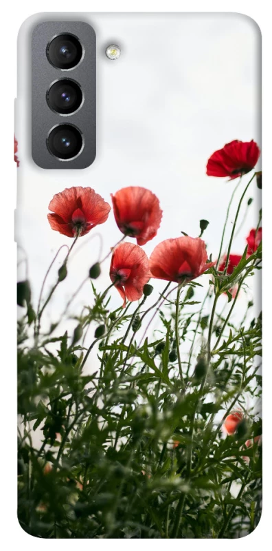Чохол на Samsung Galaxy S21 FE Поле маків фото 1 з 1
