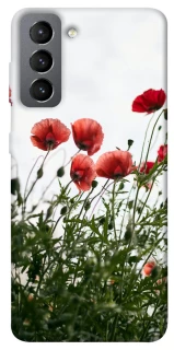 Чохол на Samsung Galaxy S21 FE Поле маків фото 1 з 1