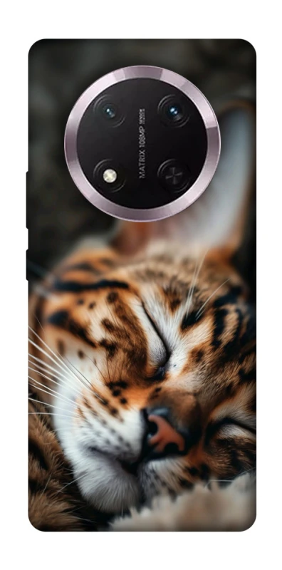 Чехол на Honor X9c Cat paws фото 1 из 1