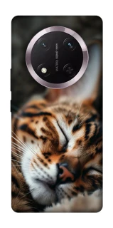 Чехол на Honor X9c Cat paws фото 1 из 1