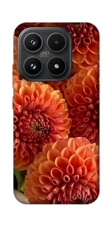 Чехол на Xiaomi 17 Flower1 фото 1 из 1