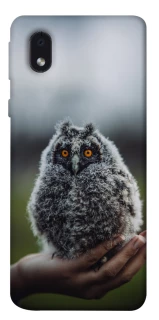 Чохол на Samsung Galaxy M01 Core / A01 Core Совеня фото 1 з 1