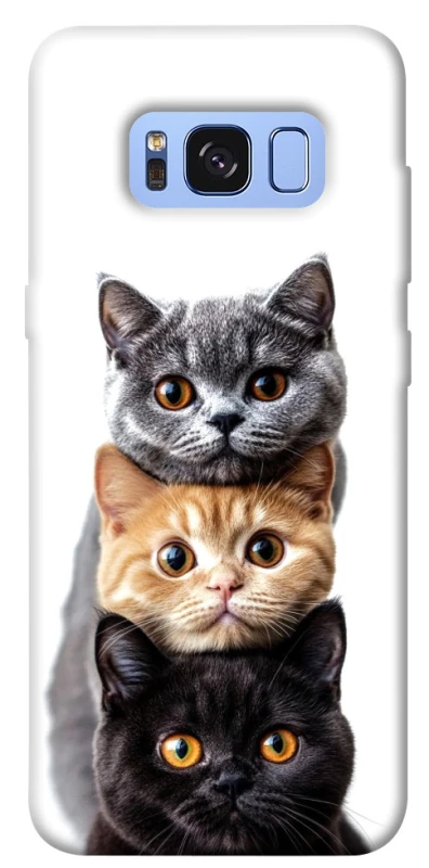 Чохол на Samsung G950 Galaxy S8 Гарні котики фото 1 з 1