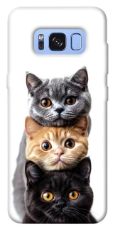 Чохол на Samsung G950 Galaxy S8 Гарні котики фото 1 з 1