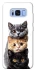 Чохол на Samsung G950 Galaxy S8 Гарні котики фото 1 з 1