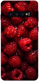 Чохол на Samsung Galaxy S10 Малинка фото 1 з 1