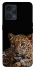 Чохол на Realme 9 4G / 9 Pro+ Leopard v4 фото 1 з 1