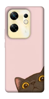 Чохол на Infinix Zero 30 4G Peeping cat фото 1 з 1