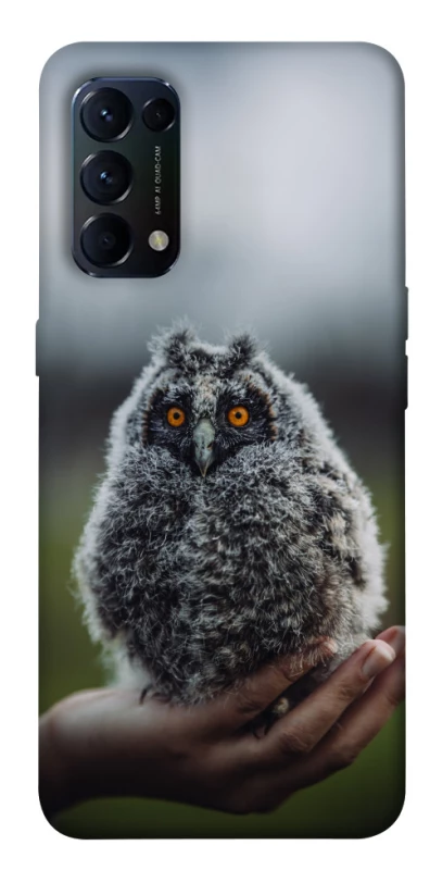Чохол на Oppo Reno 5 4G Совеня фото 1 з 1