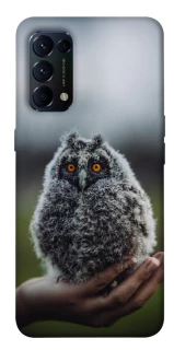 Чохол на Oppo Reno 5 4G Совеня фото 1 з 1