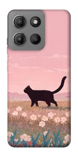 Чохол на Motorola Moto G15 Power cat on a field фото 1 з 1