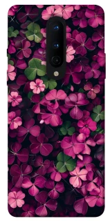 Чехол на OnePlus 8 Flowers v7 фото 1 из 1