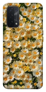 Чехол на Oppo A54 5G / A74 5G Camomile фото 1 из 1