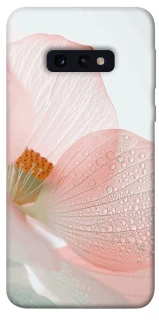 Чехол на Samsung Galaxy S10e Flowers zon фото 1 из 1