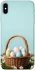 Чехол на Apple iPhone X (5.8") Easter ver.5 фото 1 из 1