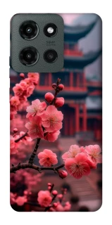 Чохол на Motorola Moto G Power (2025) Flowers v29 фото 1 з 1