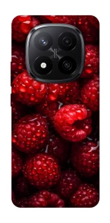 Чехол на Xiaomi Redmi Note 14 Pro+ 5G Малинка фото 1 из 1