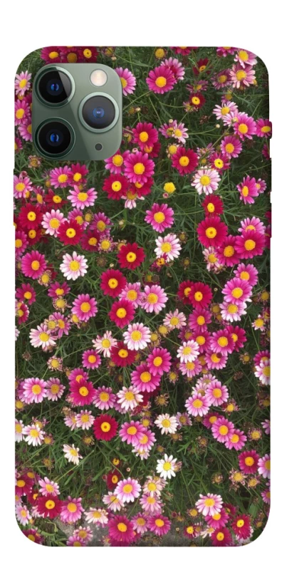 Чохол на Apple iPhone 11 Pro (5.8") Flowers v8 фото 1 з 1