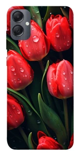 Чохол на Samsung Galaxy A05 Червоні тюльпани фото 1 Чохол на Samsung Galaxy A05 Червоні тюльпани фото 1 з 1