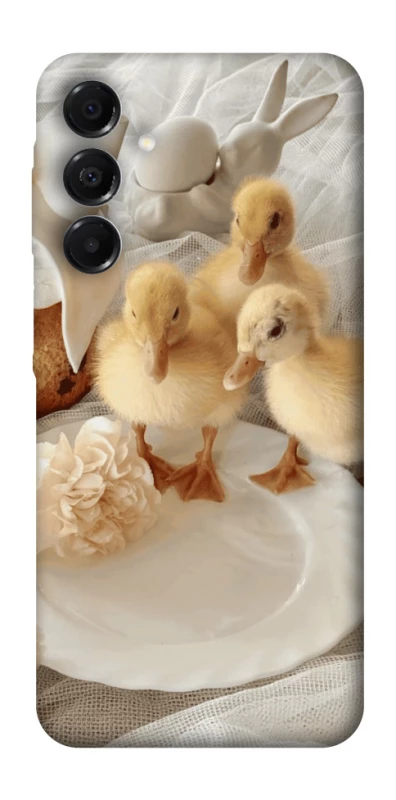 Чохол на Samsung Galaxy A17 4G/5G Easter Vibes фото 1 з 1