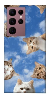 Чохол на Samsung Galaxy S22 Ultra Сats фото 1 з 1