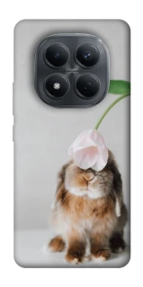 Чохол на Xiaomi Redmi Note 15 Pro 4G Bunny фото 1 з 1