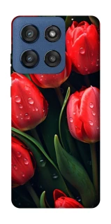 Чохол на Motorola Edge 60 Stylus Червоні тюльпани фото 1 Чохол на Motorola Edge 60 Stylus Червоні тюльпани фото 1 з 1
