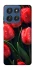 Чохол на Motorola Edge 60 Stylus Червоні тюльпани фото 1 Чохол на Motorola Edge 60 Stylus Червоні тюльпани фото 1 з 1