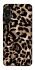 Чохол на Samsung Galaxy M16 5G Leopard Skin v4 фото 1 з 1