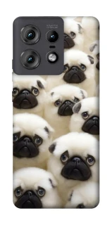 Чехол на Motorola Edge 50 Pro Doggy Pug Love фото 1 из 1