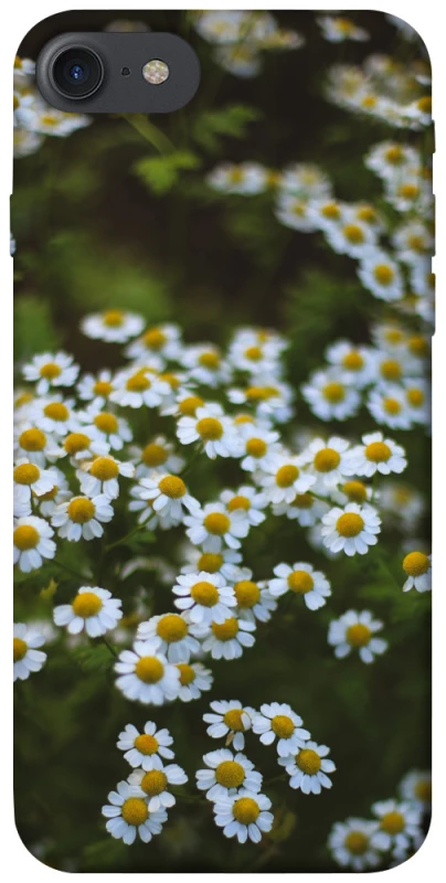 Чехол на Apple iPhone 7 / 8 (4.7") Ромашки v13 фото 1 из 1