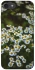 Чехол на Apple iPhone 7 / 8 (4.7") Ромашки v13 фото 1 из 1